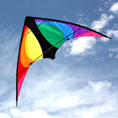 Stinger Dual String Kite